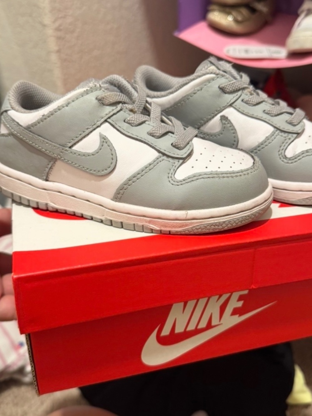 9C Nike low dunks